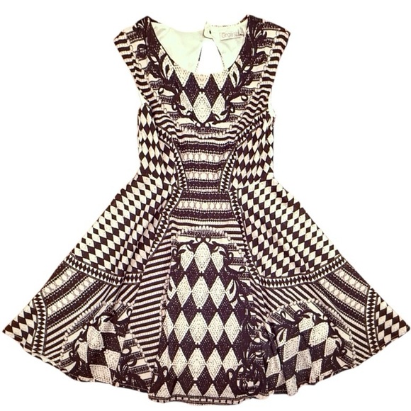Vintage Dresses & Skirts - Vintage Y2K Black/White Sleeveless Fit and Flare Mini Dress Size 8/Medium $185